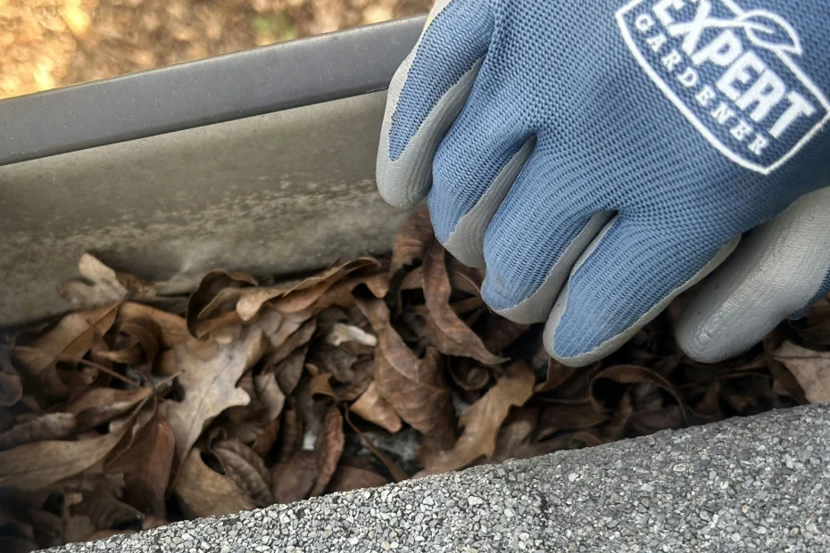 Gutter Cleaning Prosper TX