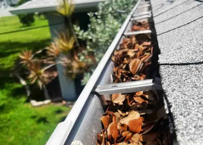 Gutter Cleaning Prosper TX home page